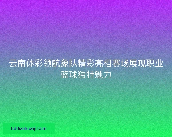 云南体彩领航象队精彩亮相赛场展现职业篮球独特魅力